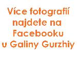 více hledejte na facebooku u Galiny Gurzhiy