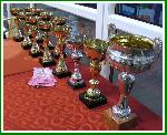 poháry pro vítěze