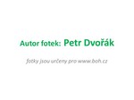 autor fotek