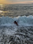 . .